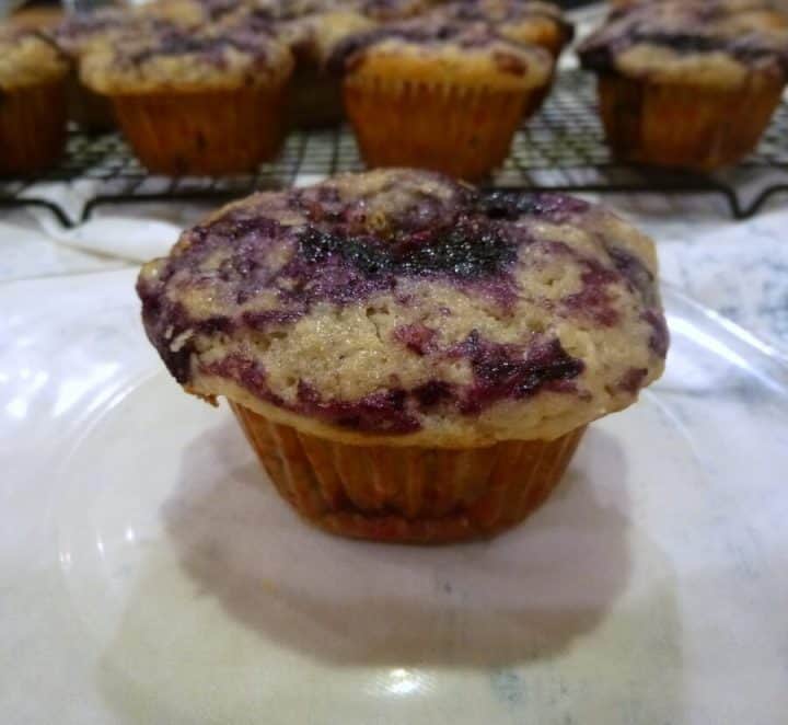 America's Test Kitchen's Best Blueberry Muffins Delicious Not