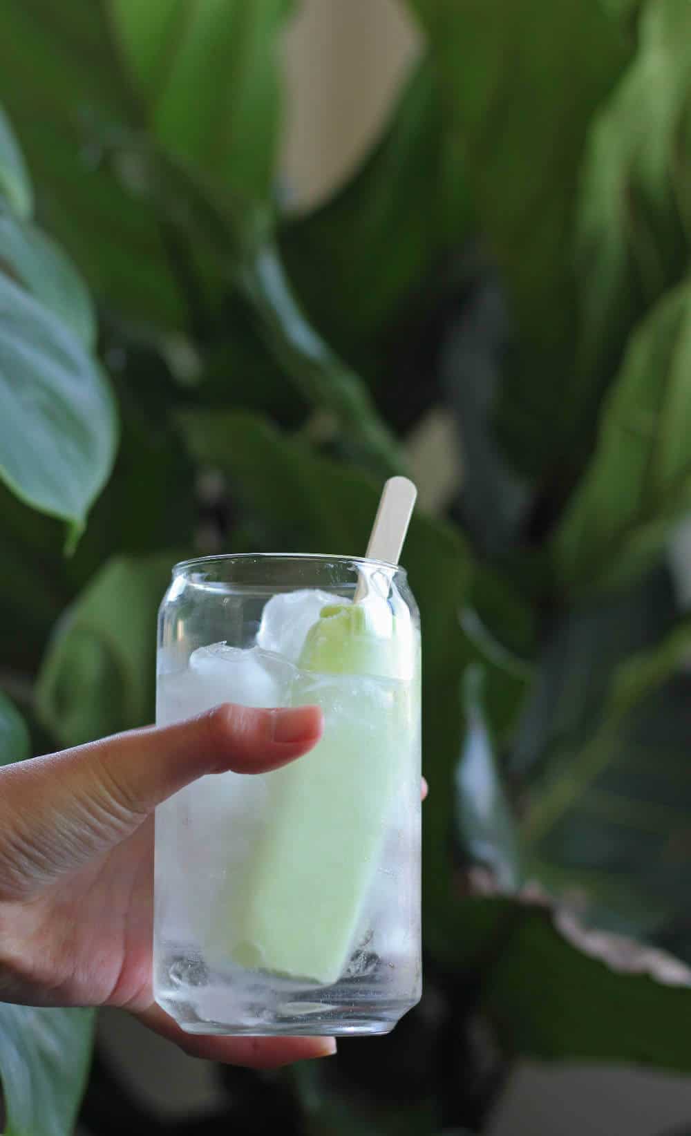 Hand holding a clear glass with a clear cocktail and a green popsicle in front of a plant.