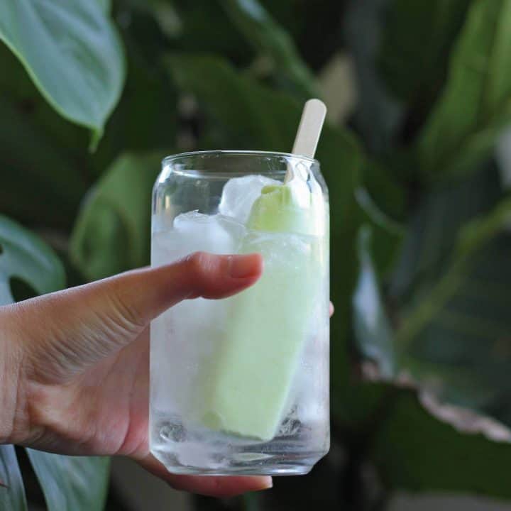 Glass with clear cocktail and light green popsicle in front of a dark green plant.