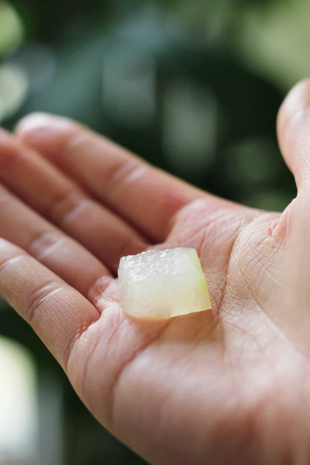 Hand holding semi-translucent cube of cooked wintermelon.